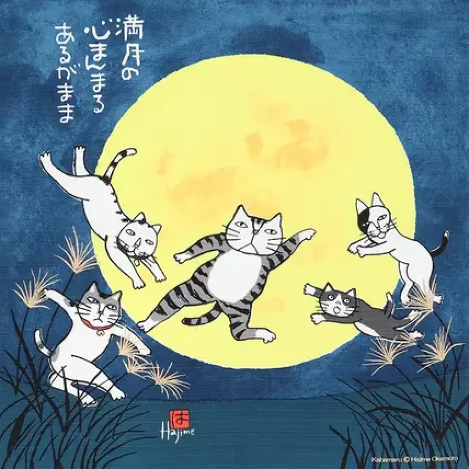 Cats^MIYA Company Furoshiki Kabamaru Cat Moon 19.75" Sq.