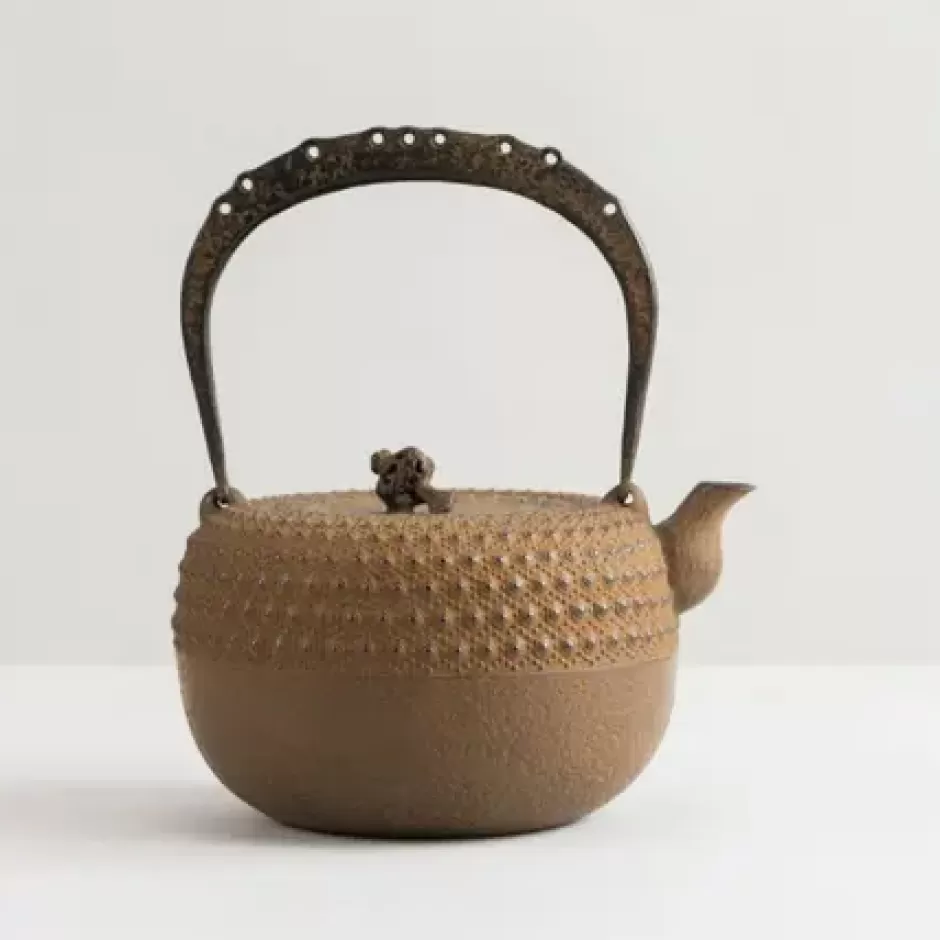 Teapots - Cast Iron^MIYA Company Iwachu Kettle Tetsubin Gravel Turtleshell Brown