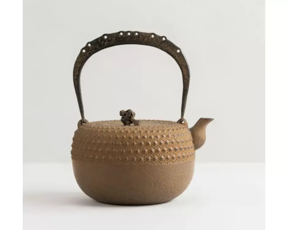 Teapots - Cast Iron^MIYA Company Iwachu Kettle Tetsubin Gravel Turtleshell Brown